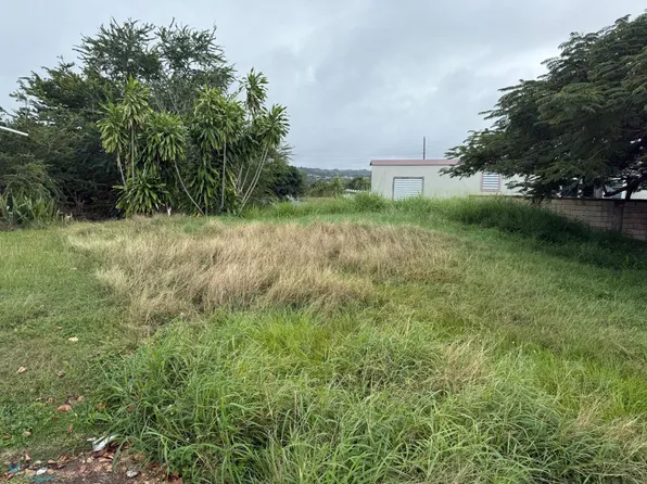 Blq A Calle Ficus University Gdns #A8, Arecibo, PR 00612
