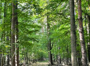 Mortimer Line Rd, Croswell, MI 48422