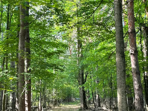 Mortimer Line Rd, Croswell, MI 48422