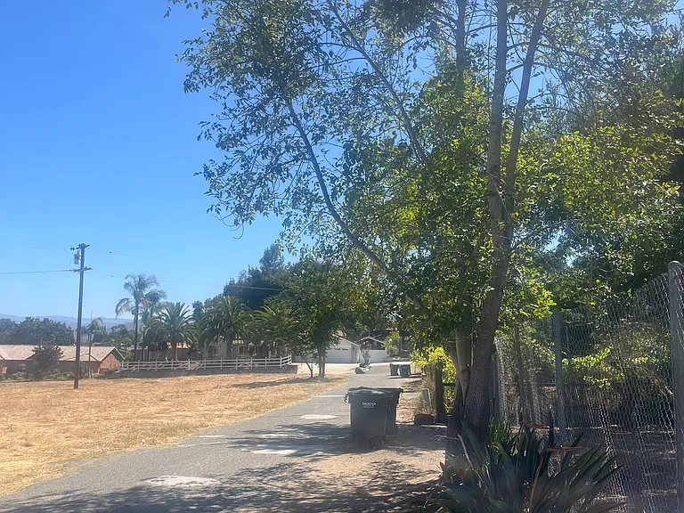 826 Birch Ave #C — Photo 13