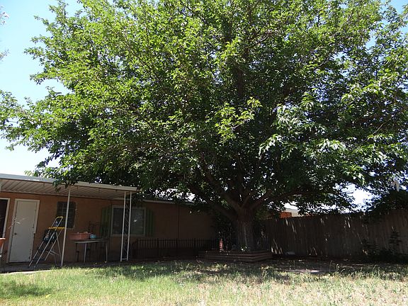 3rd image of 1507 Tulane Dr