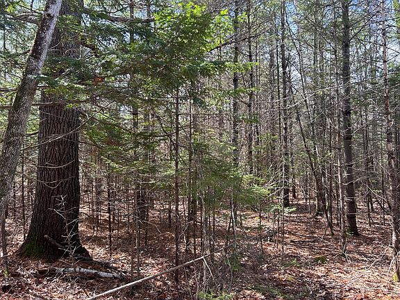 5th image of Lot 4 Holley Road