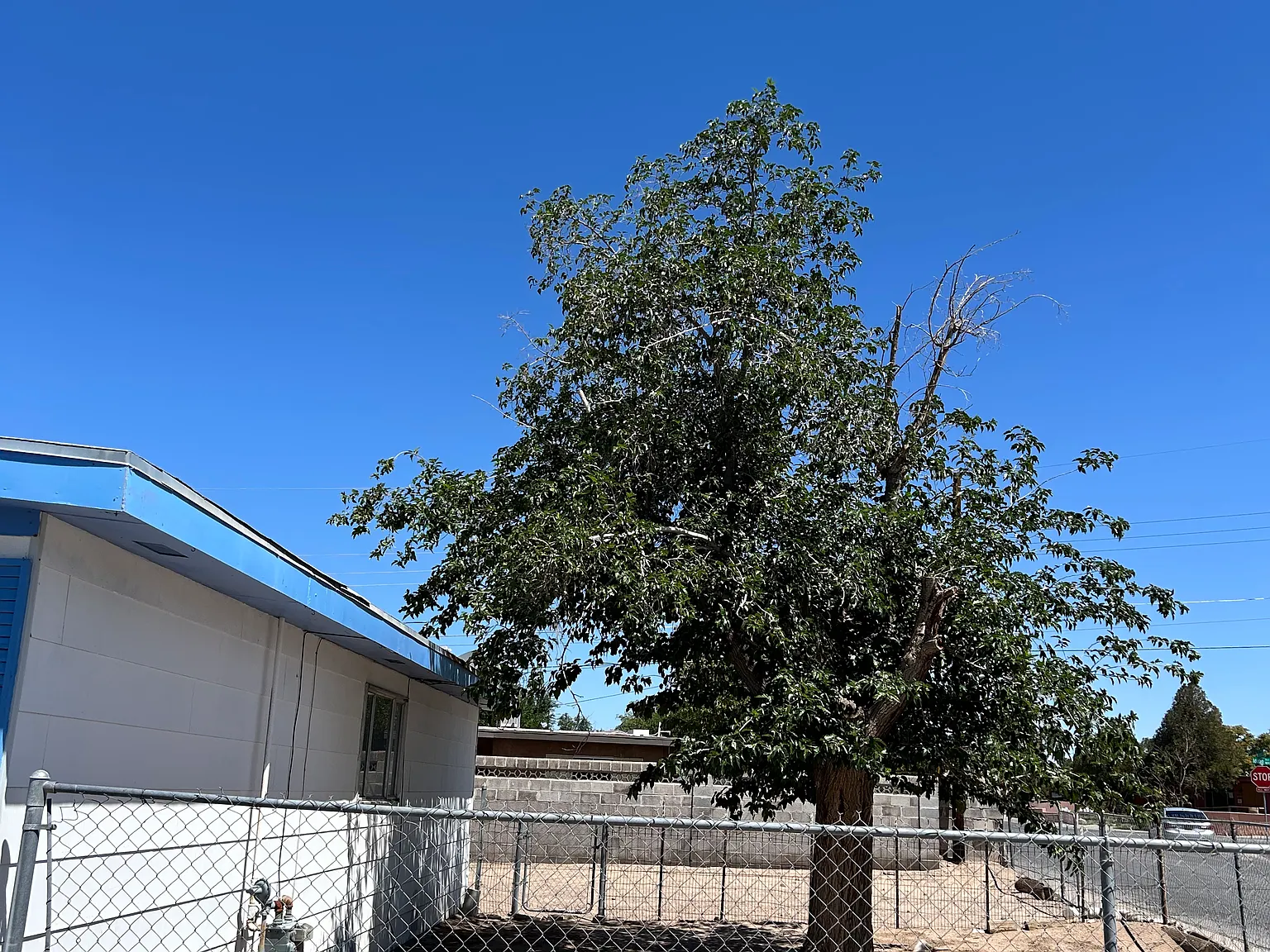 1743 Calle De Suenos — Photo 3