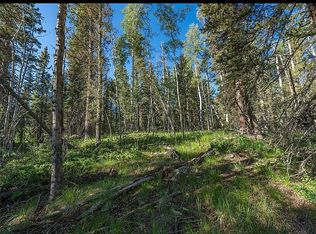 327 Timberline Dr, Florissant, CO 80820