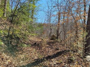 Mica Way, Cosby, TN 37722