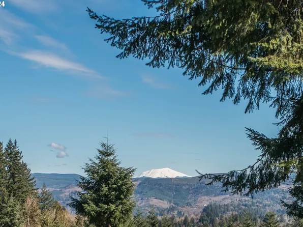 260 Livingston Heights Dr, Longview, WA 98632