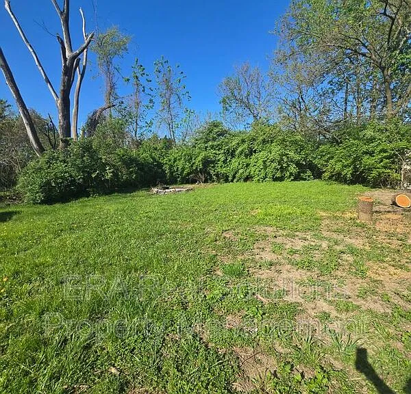 1665 Elaine Rd — Photo 13
