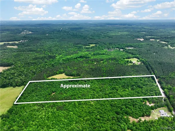 0 Romulus Rd, Ralph, AL 35480