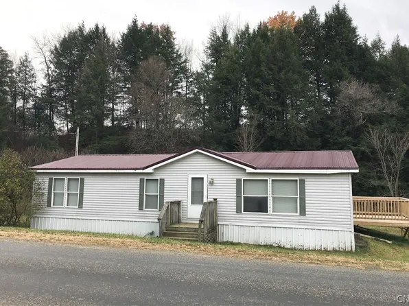 73 Oregon Hill Rd, Lisle, NY 13797