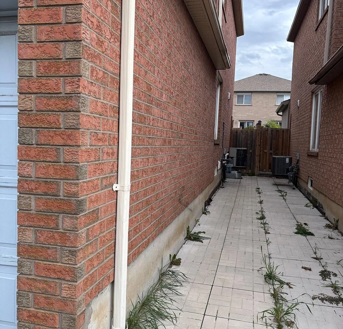 1 bed, $1,300 — Photo 2