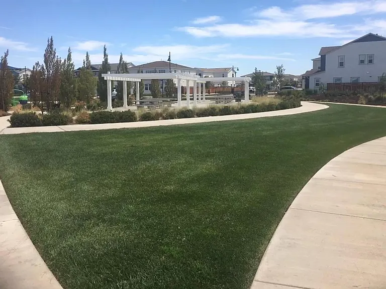 Merritt Dr — Photo 10