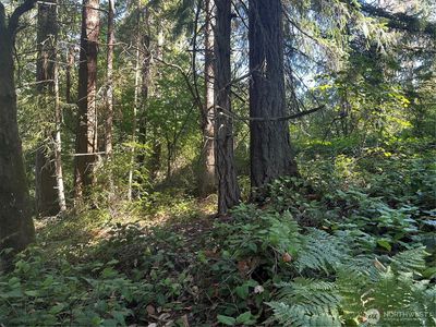 0 Walnut Lane, Steilacoom, WA, 98388