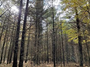 6159 S Forman Rd, Baldwin, MI