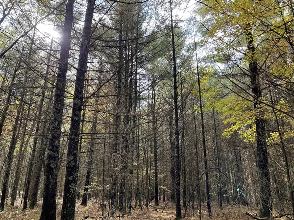 6159 S Forman Rd, Baldwin, MI 49304