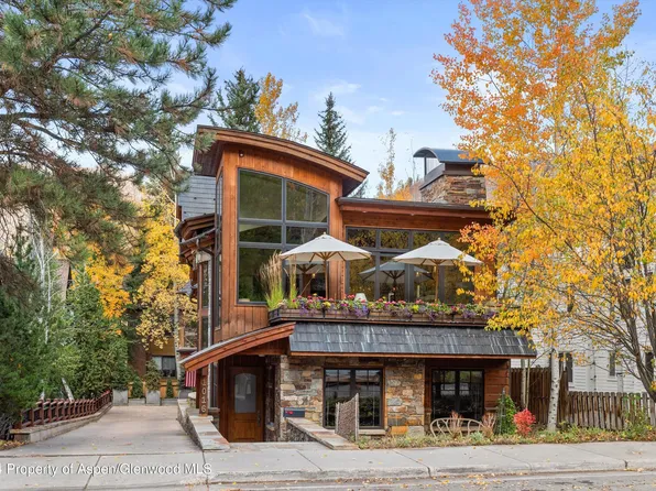 1016 E Hopkins Ave, Aspen, CO 81611