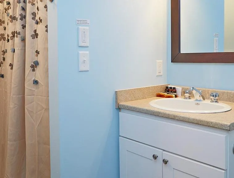 Lower level King's Full bathroom