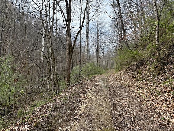 5th image of 291 Sugar Camp Rd