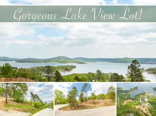 Lot 4 Grizzly Ridge Lane, Blue Eye, MO 65611