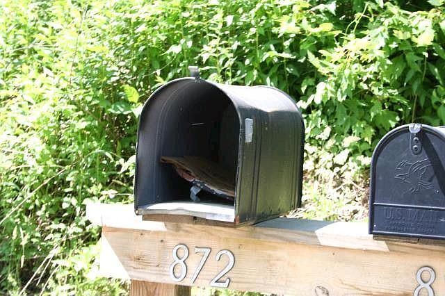 2nd image of 872 Old Place Rd