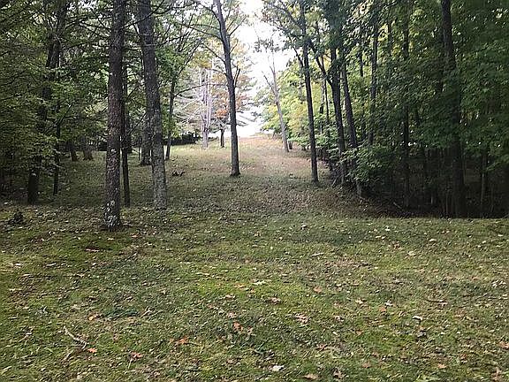 Almost 3 Acres of Forest