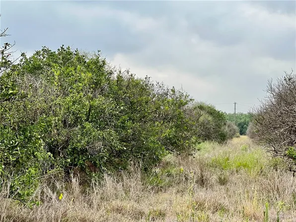 6.5 Mi, Mission, TX 78574