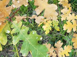 8405 W Lufkin Dr, Strawberry, AZ 85544