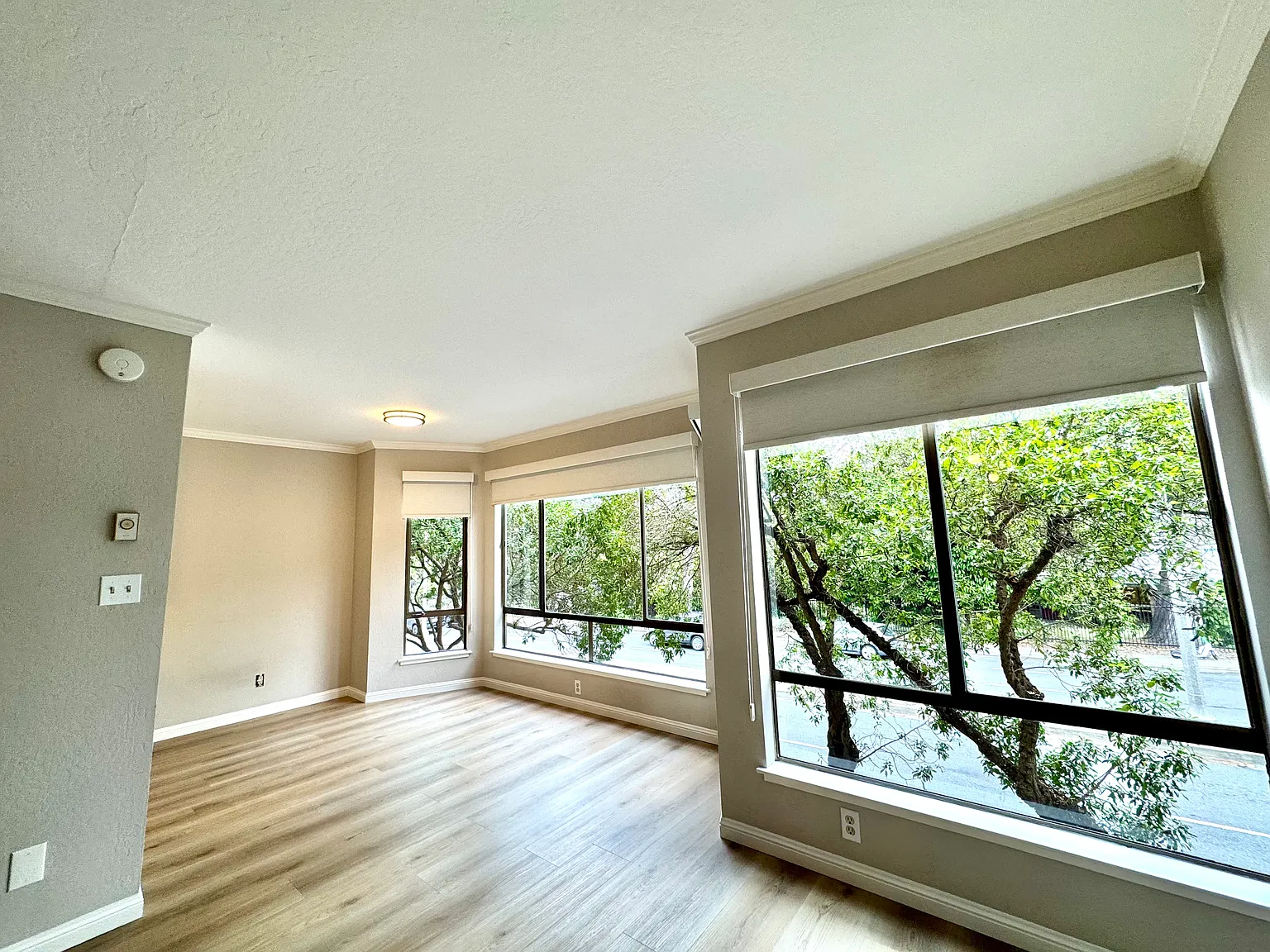 1 bed, $4,495 — Photo 1