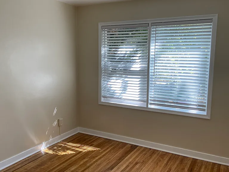 Room 2 view overlooks sunny light filled private garden.