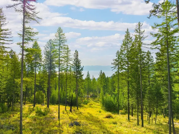 Nhn Peach Park Loop, Rollins, MT 59931