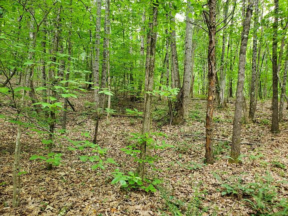 5th image of 235 County Rd Lot 1