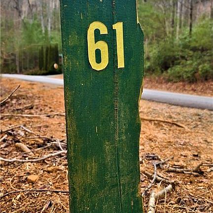 5th image of Lakewood Dr #61