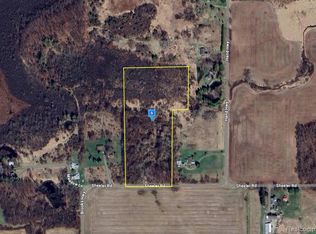 10000 Sheeler Rd, Onsted, MI 49265