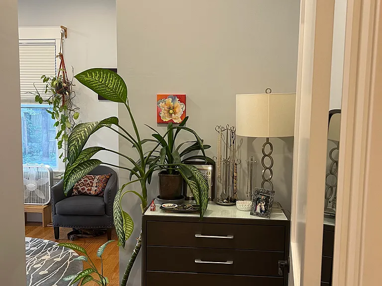 236 Lexington St #2 — Photo 11