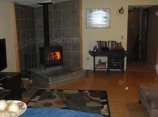 487 Mount Hunger Rd, Lisle, NY 13797