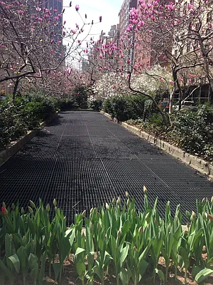 Rented by Nest Seekers International | media 12