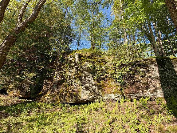 48th image of 2494 Seng Run Rd