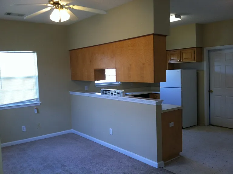 1243 Aubie Dr — Photo 6