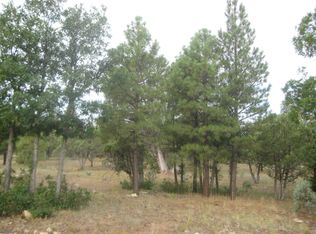 2280 San Juan Dr, Happy Jack, AZ 86024