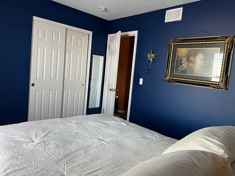 2428 Deerpoint Dr — Photo 3