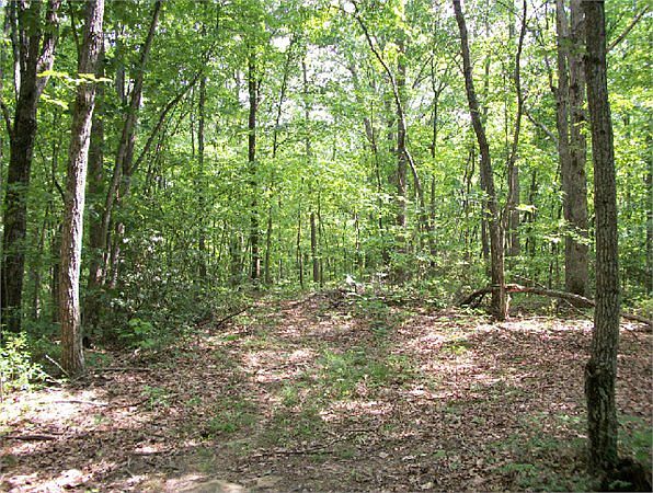 2nd image of S Of Reed Creek Rd