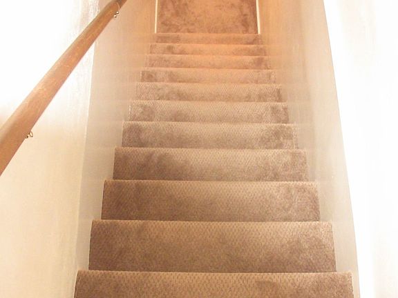 Brand new carpet to finished basement.