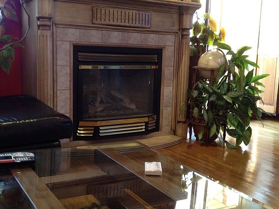 Living room fire place 