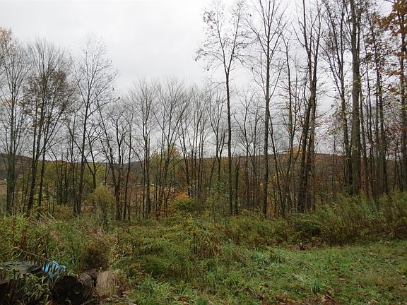 5th image of 457 State Highway 8