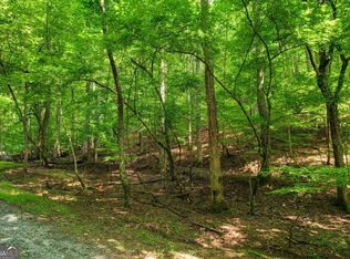 LOT 1972 Nancy Ct, Ellijay, GA 30540