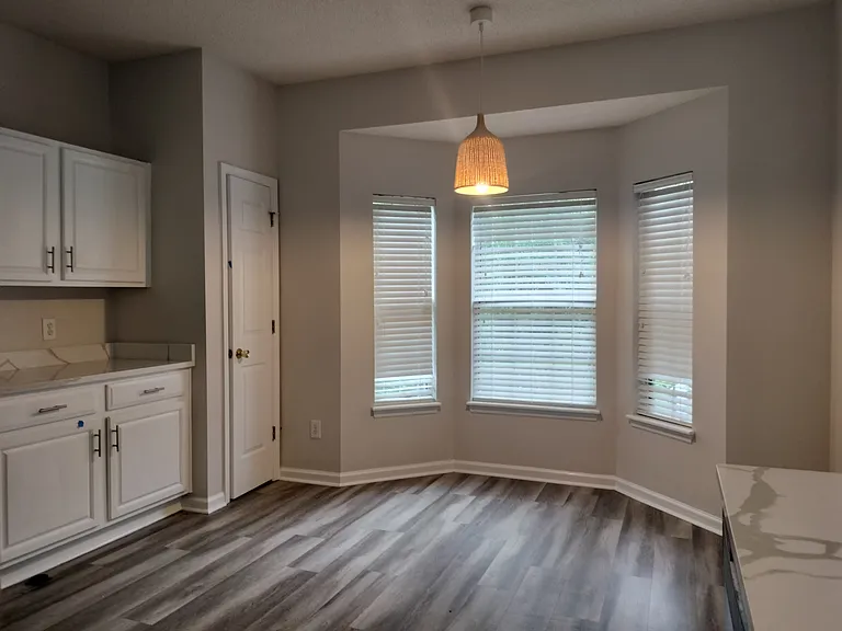1248 Wild Olive Dr — Photo 3