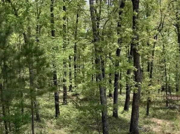360 Gray Fox Rd, Springville, AL 35146