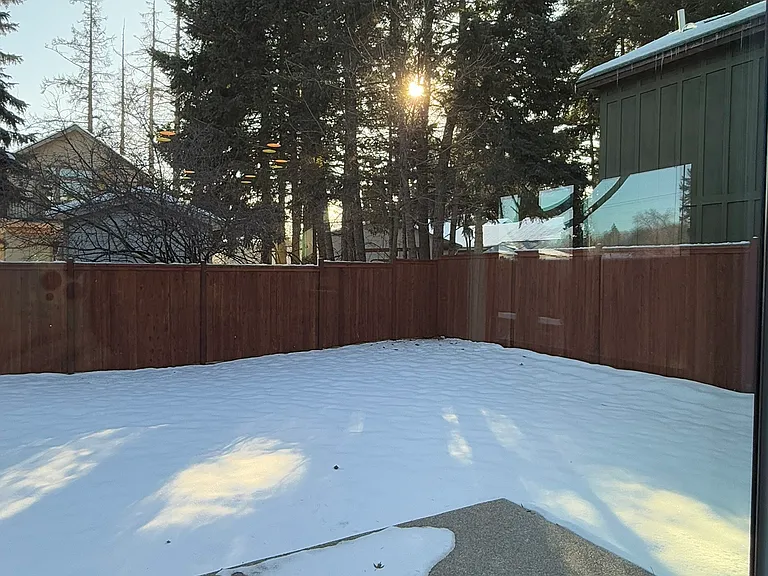 Patio and back yard.