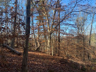0 Horseshoe Bend Dr, Westminster, SC, 29693