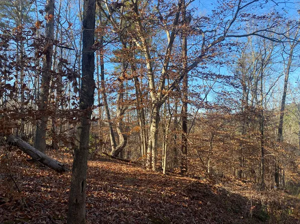 0 Horseshoe Bend Dr, Westminster, SC 29693