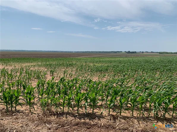 County Road 448, Chilton, TX 76632